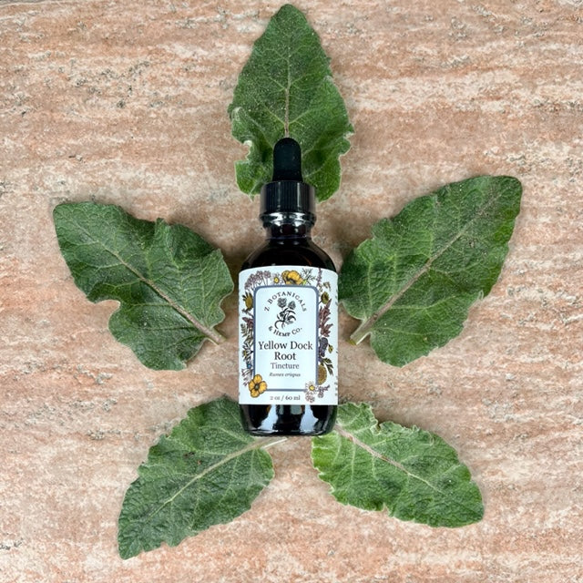 Yellow Dock Tincture, 2oz