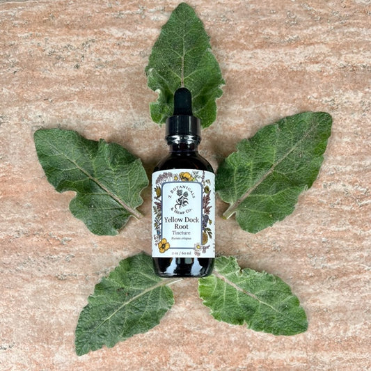 Yellow Dock Tincture, 2oz