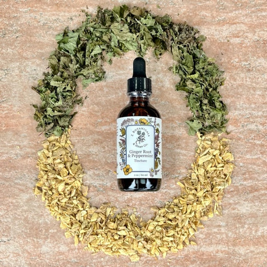 Ginger Root & Peppermint Tincture, 2oz