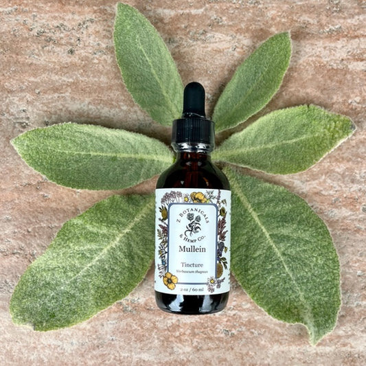 Mullein Tincture, 2oz