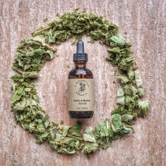 Garlic and Mullein Ear Oil 1oz