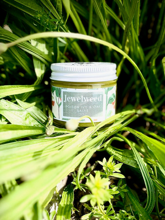 Jewelweed Salve, 2oz