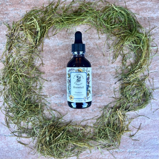 Horsetail Tincture, 2oz