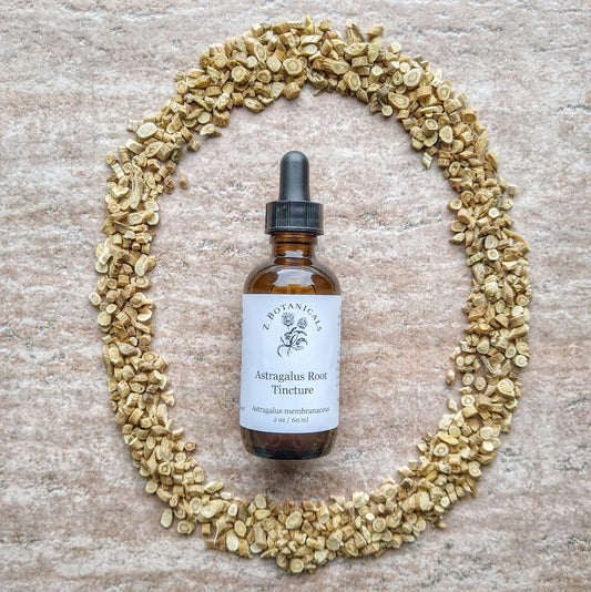 Astragalus Root Tincture, 2oz
